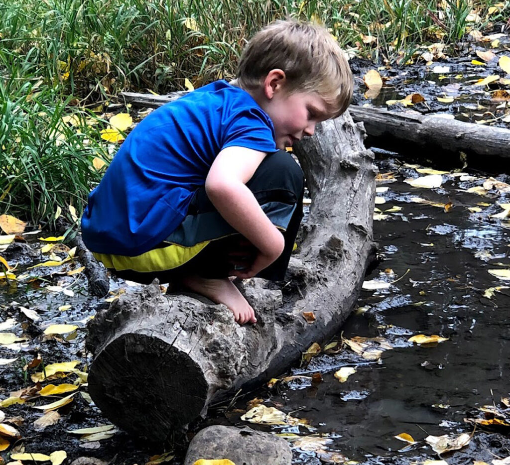 child exploring a stream from a log